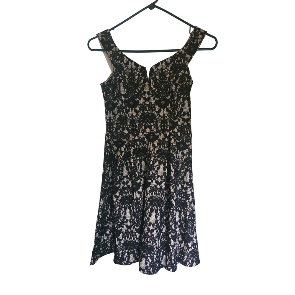 Francesca's Black Lace Nude Lining Fit & Flare Coquette Dress XS F17D509H